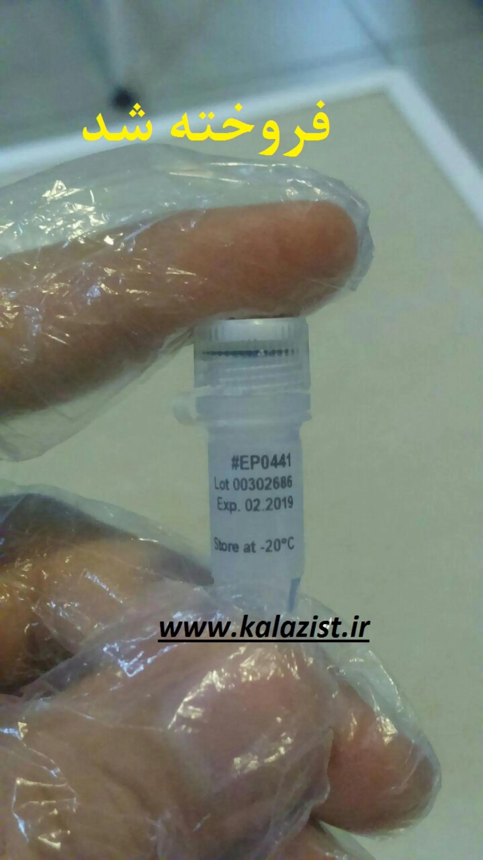 آنزیم ریورس ترنسکریپاز kalazist آنزیم ریورس ترنسکریپاز